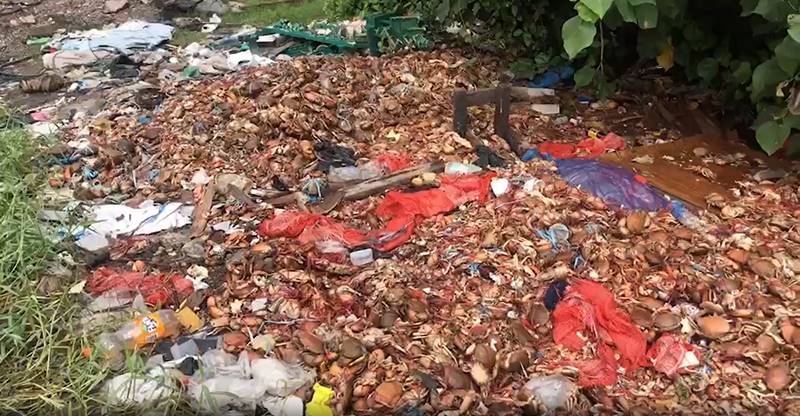 ทิ้งปูทะเลริมทาง