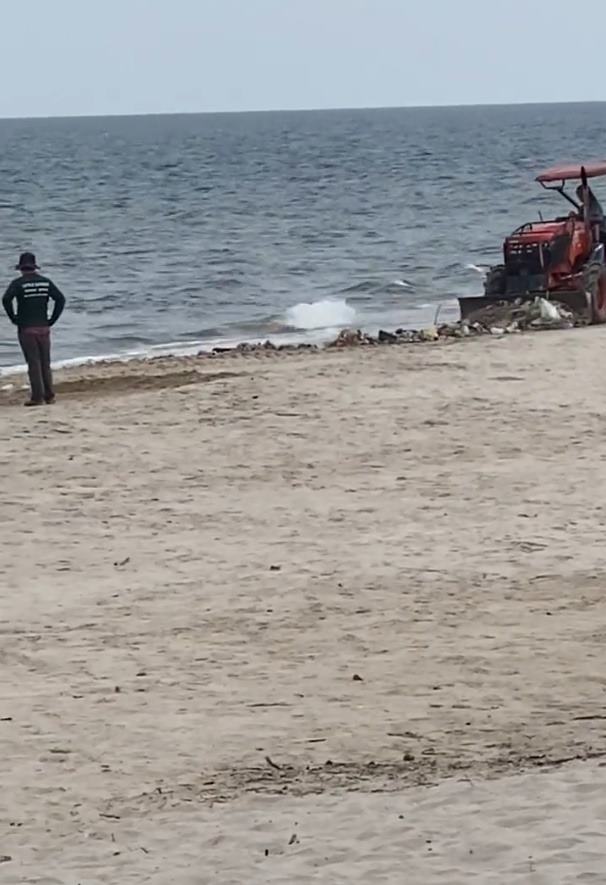 โรงแรมใช้แทร็กเตอร์กลบขยะบนชายหาด