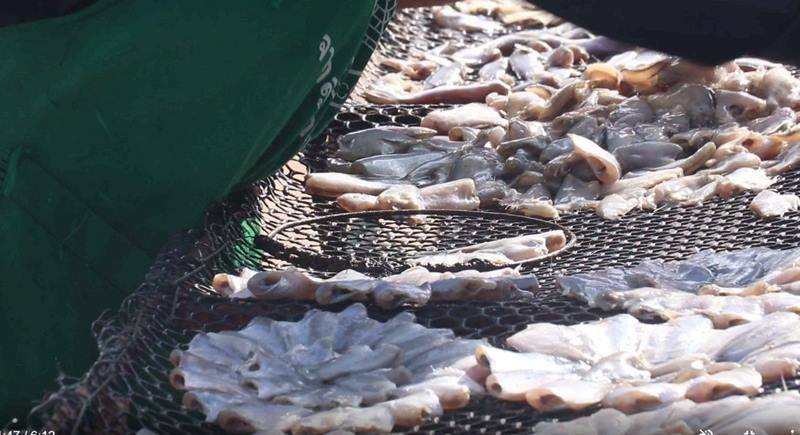 ชาวพิจิตรน้ำท่วมทุ่งนา จับปลาขาย