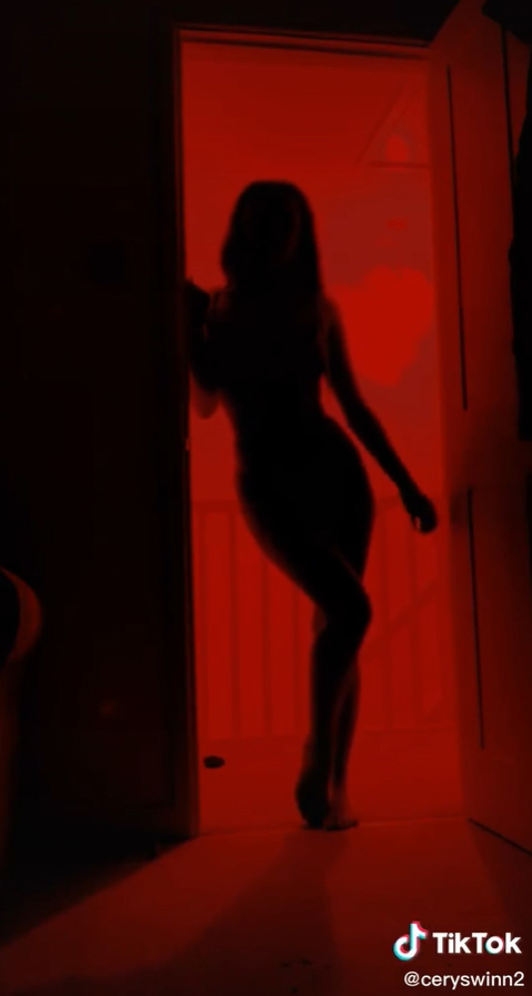 Silhouette Challenge