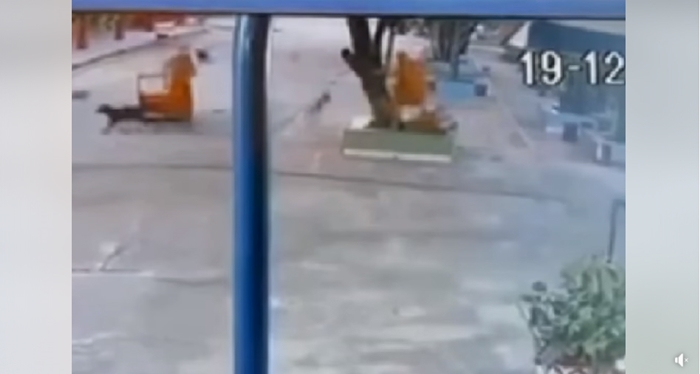 พระลูกวัดเตะก้านคอรองเจ้าอาวาส