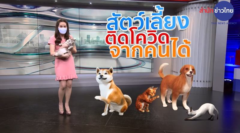 แมวบุกสตูดิโอ Mcot