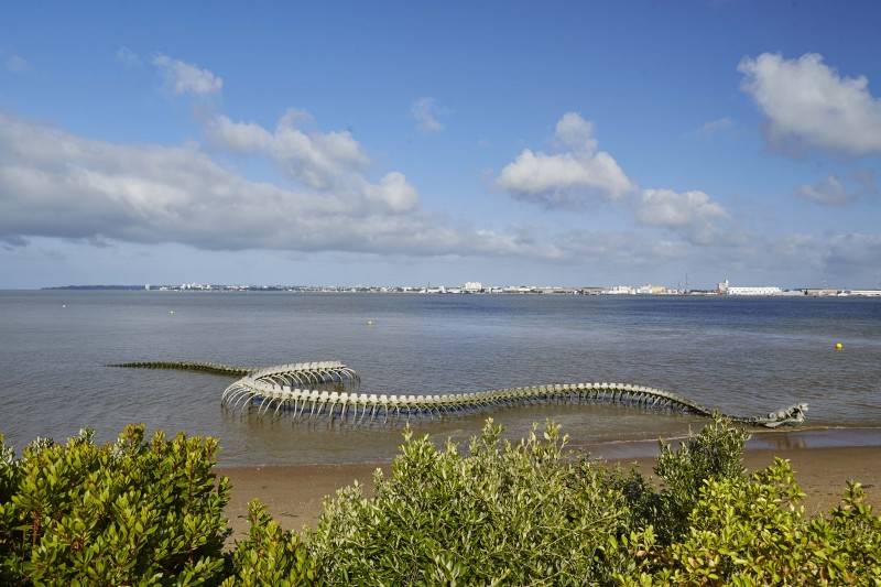 โครงกระดูกงูยักษ์