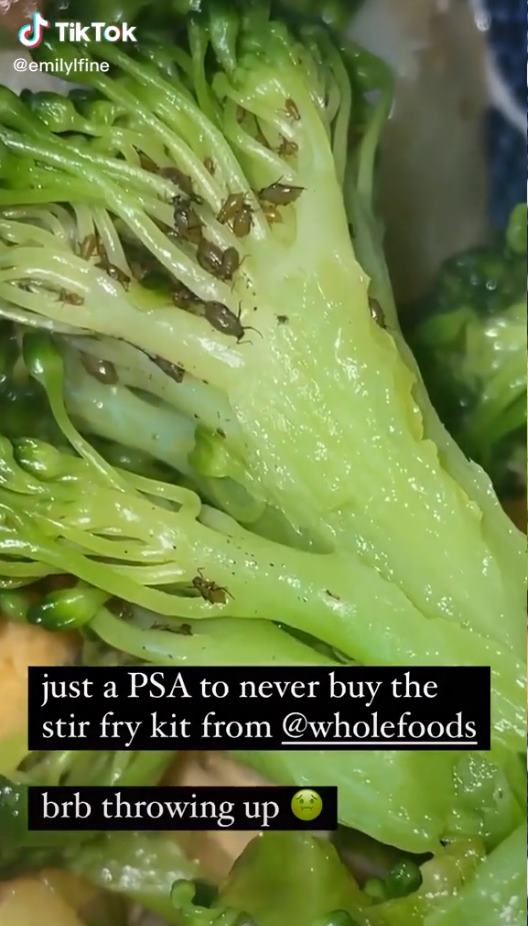 แมลงในผัก