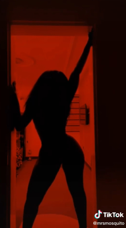 Silhouette Challenge