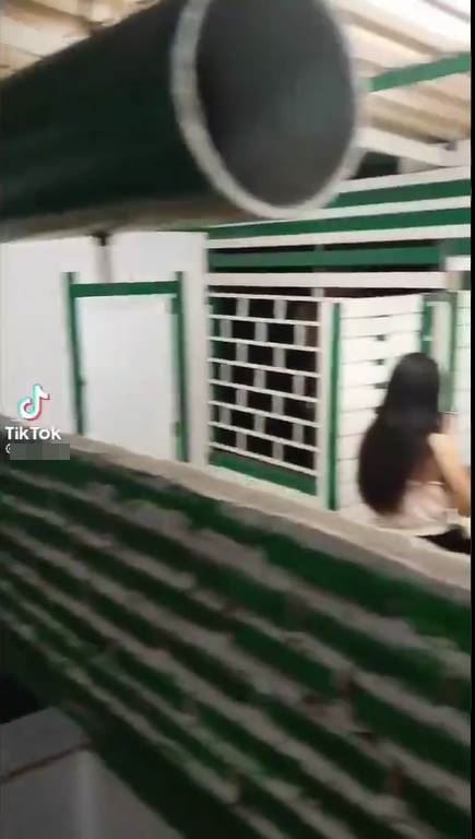 แอบส่องสาวในห้องน้ำ