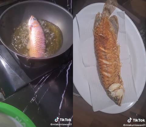 เมียฉุนผัวไม่ยอมล้างตู้ปลา จับปลาแอโรวานาทอด