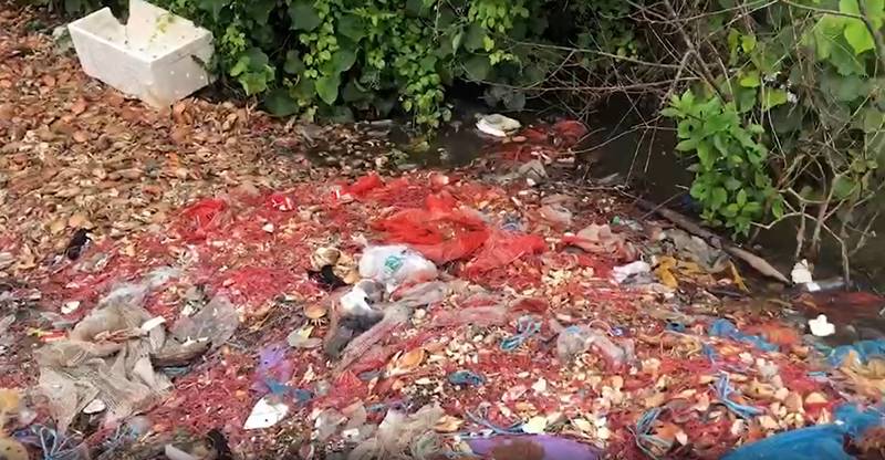 ทิ้งปูทะเลริมทาง