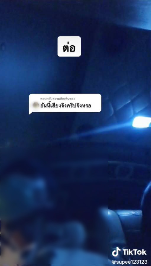 ลูกด่าแม่