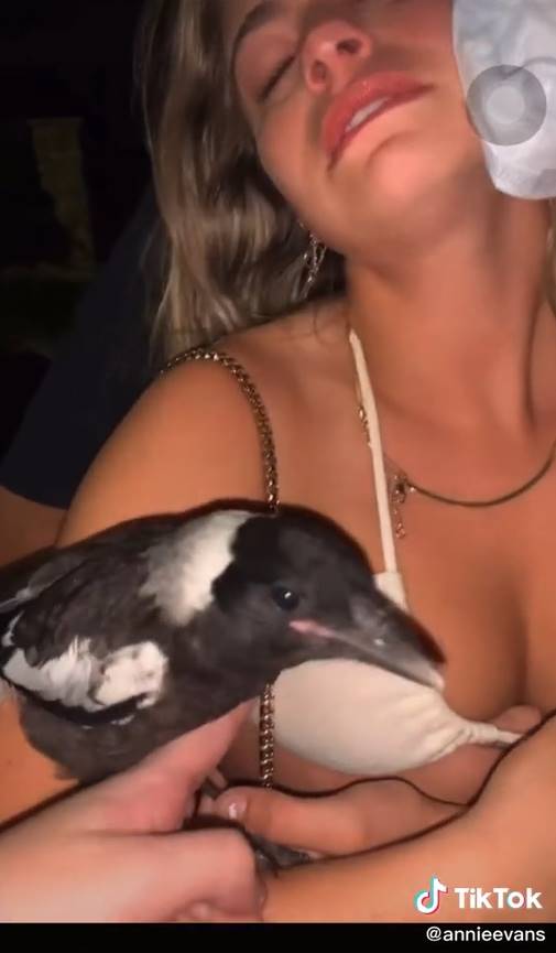 สาวเมาร้องไห้หนัก พานกกางเขนกลับบ้าน