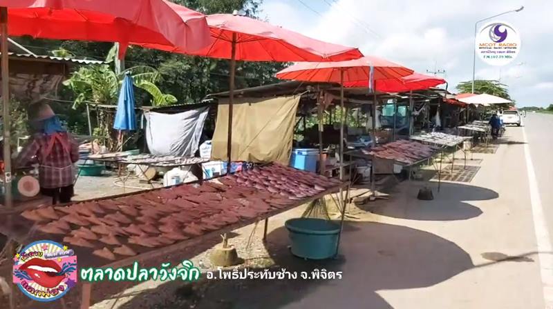 ชาวพิจิตรน้ำท่วมทุ่งนา จับปลาขาย