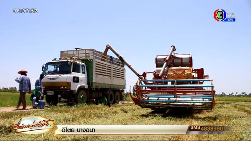 ราคาข้าวตกต่ำ