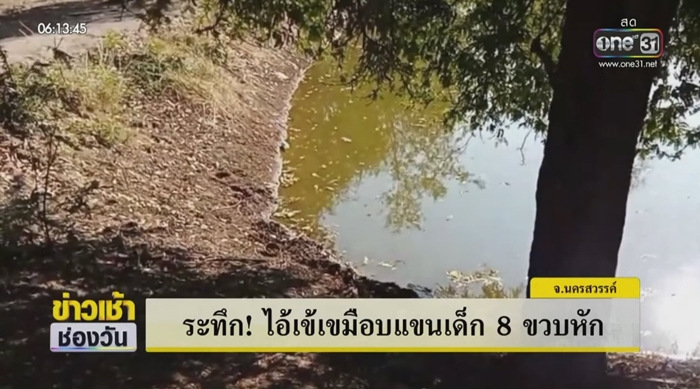 จระเข้กัดเด็ก