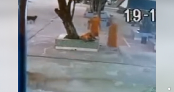 พระลูกวัดเตะก้านคอรองเจ้าอาวาส