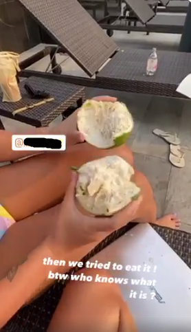 ต้นตีนเป็ดน้ำ