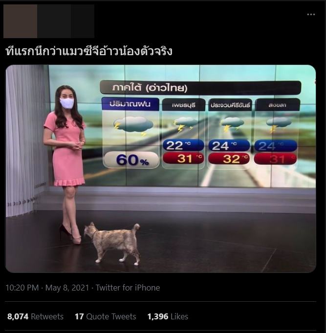 แมวบุกสตูดิโอ Mcot