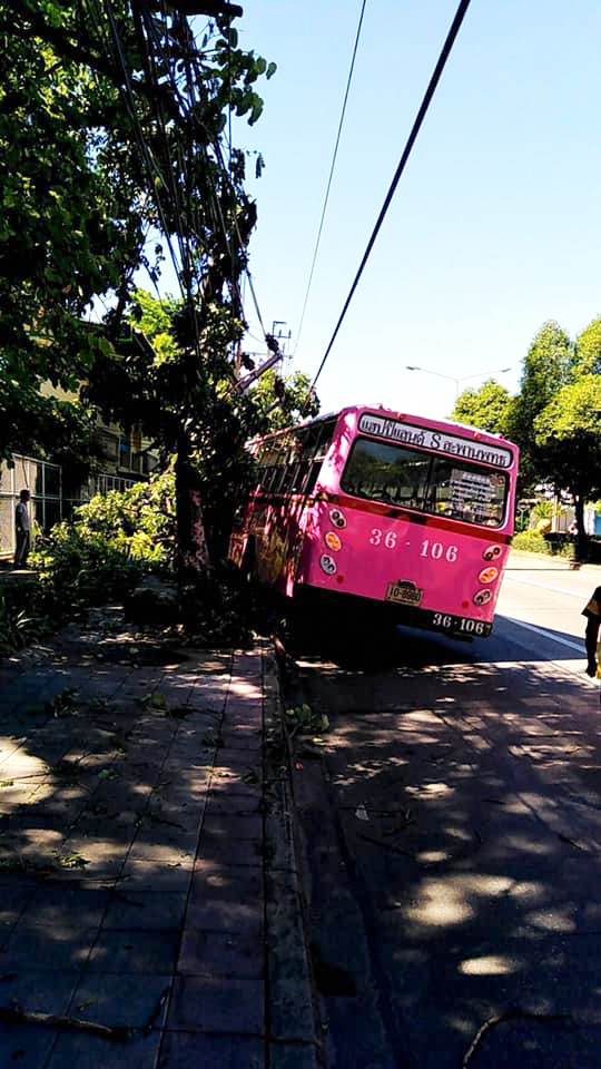 รถเมล์สาย 8 ชนเสาไฟฟ้าล้ม 6 ต้น
