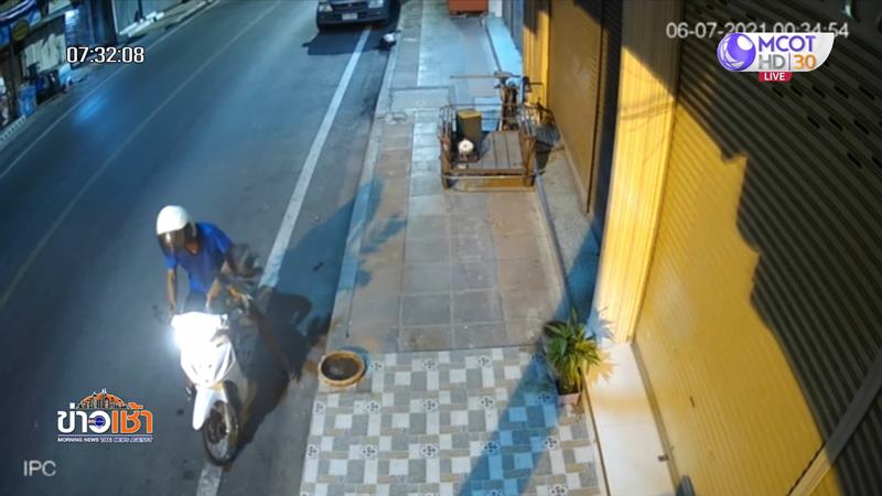 ขโมยต้นไม้