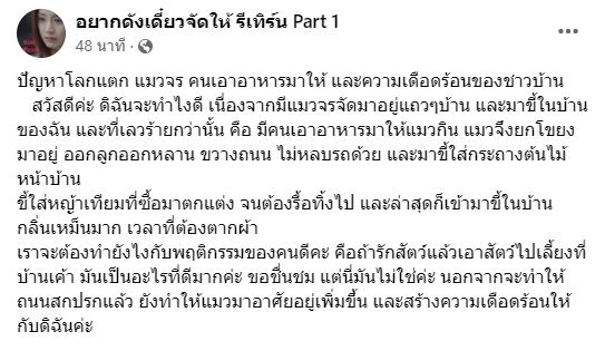 ให้อาหารแมวจรจัด