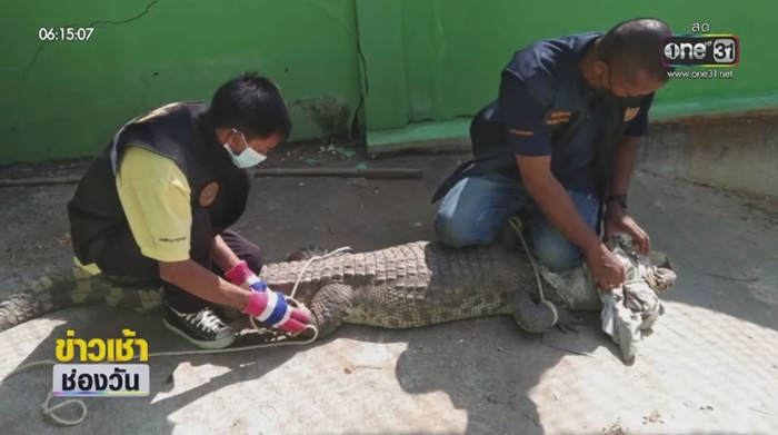 จระเข้กัดเด็ก