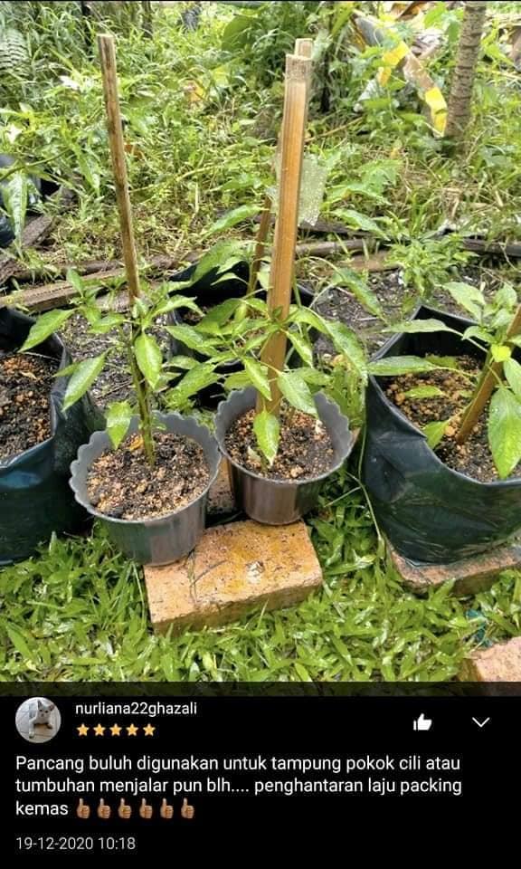 ขายไม้ไผ่ บน Shopee