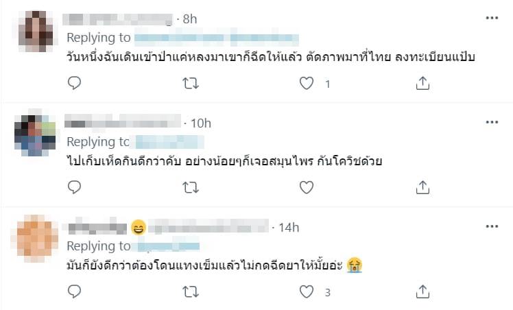 ข่าวคนไทยเก็บเห็ด ฉีดวัคซีนไฟเซอร์ที่ลาว