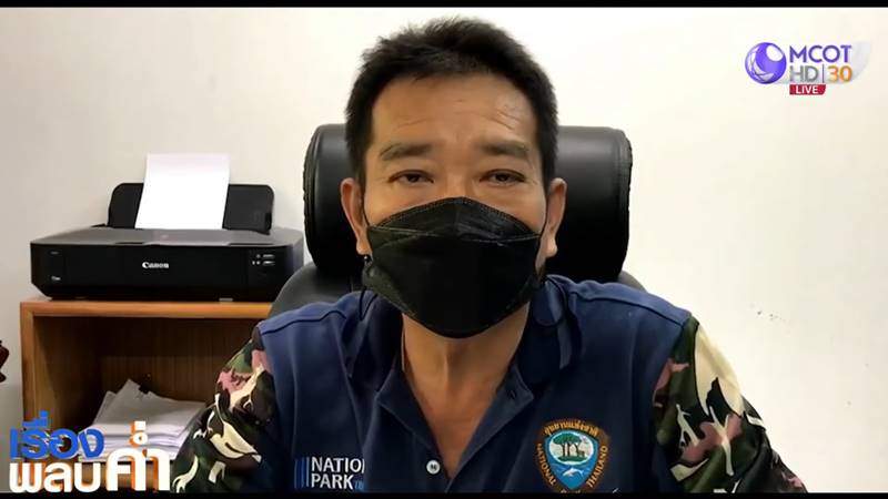 ข่าวจับปลาดาวมาถ่ายรูป