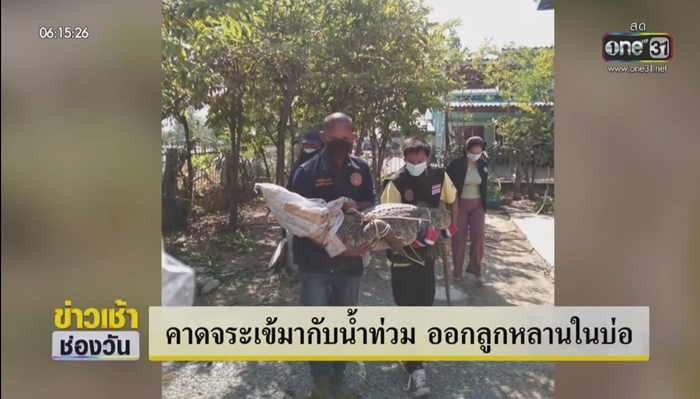 จระเข้กัดเด็ก