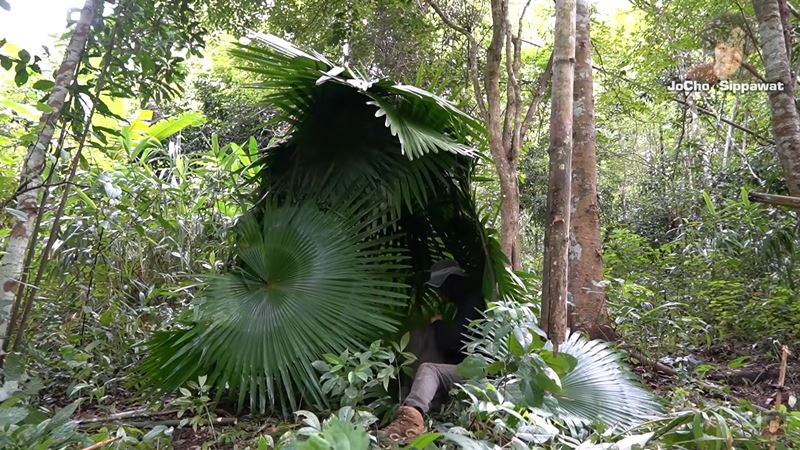 โจโฉ ยูทูบเบอร์