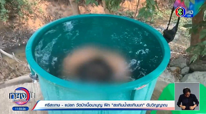 วัดป่าเนื้อนาบุญ