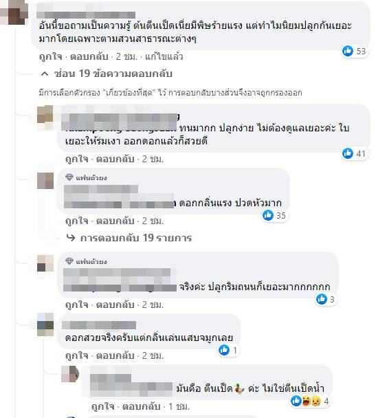 ต้นตีนเป็ดน้ำ