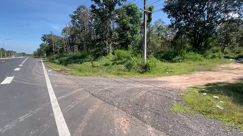 ทิ้งซากหมูกลางป่า