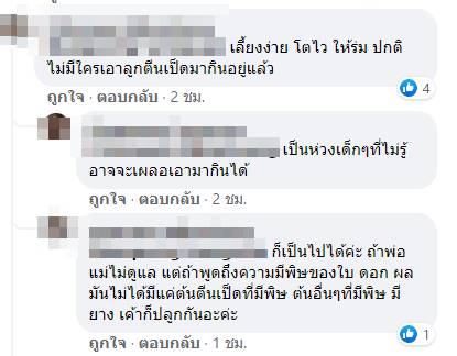 ต้นตีนเป็ดน้ำ