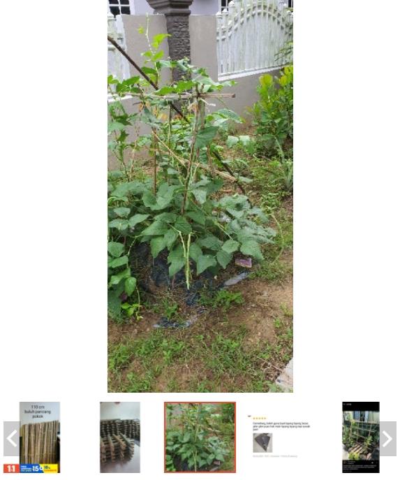 ขายไม้ไผ่ บน Shopee