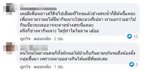 ต้นตีนเป็ดน้ำ