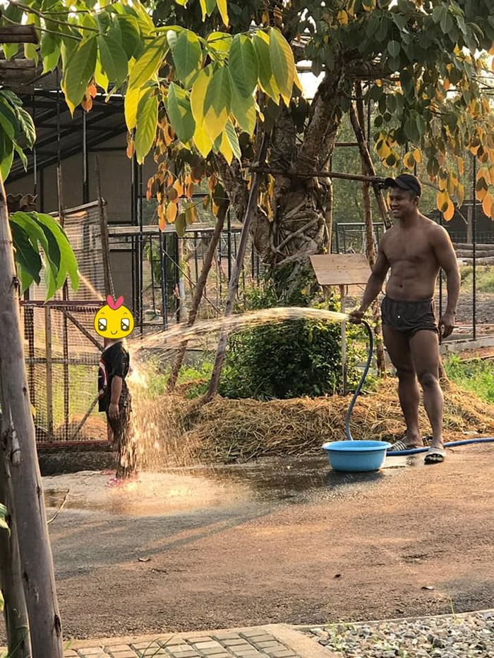 บัวขาว บัญชาเมฆ