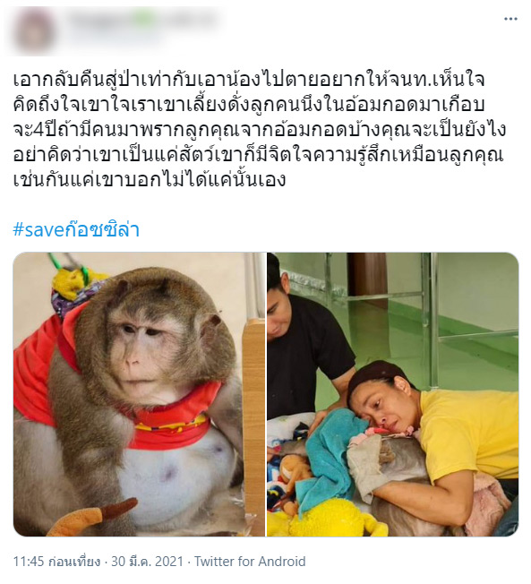 ลิงก็อตซิลล่า