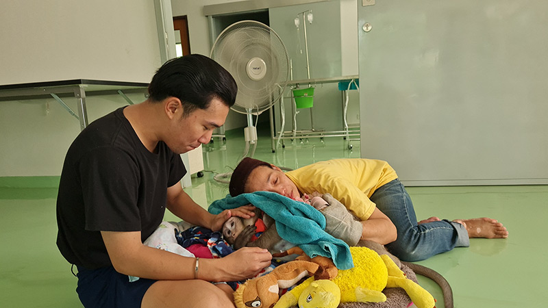 ลิงก็อตซิลล่า