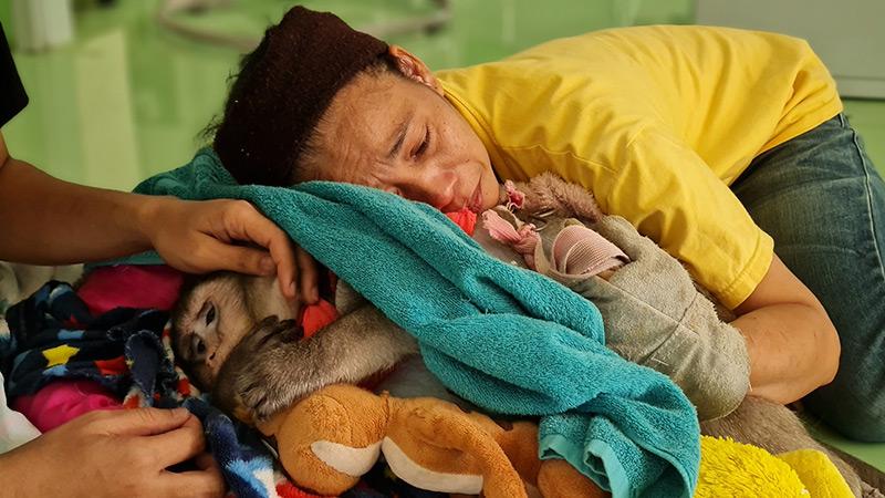 ลิงก็อตซิลล่า