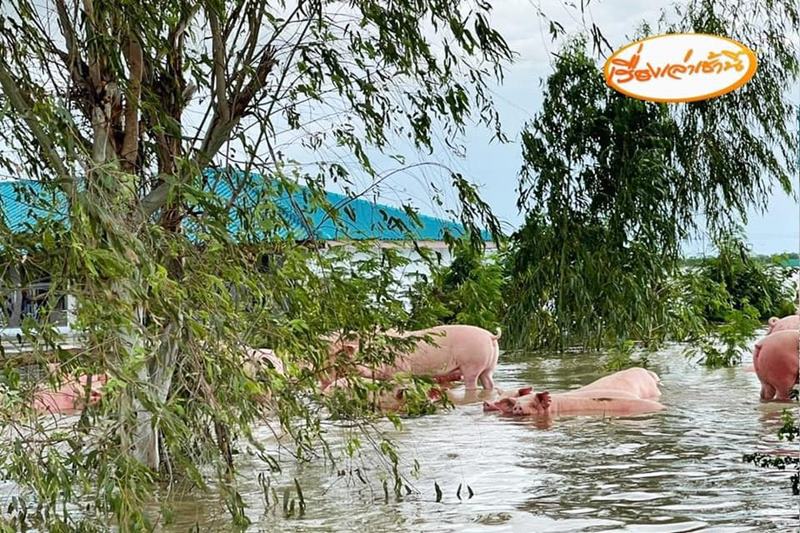 น้ำท่วมขอนแก่น