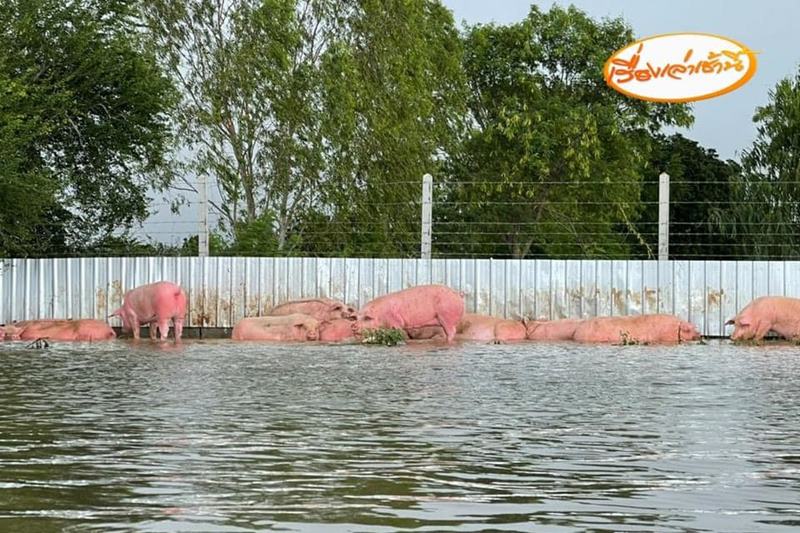 น้ำท่วมขอนแก่น