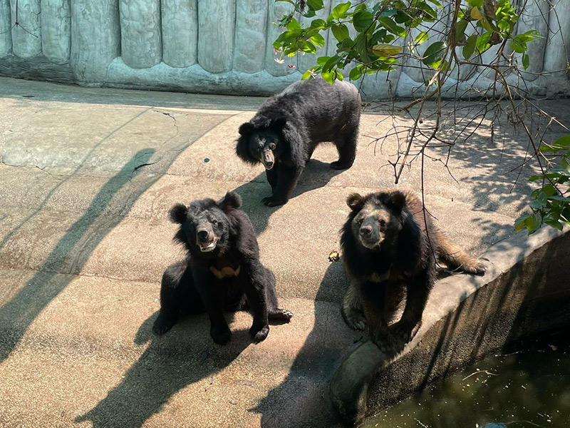 ฟาร์มจระเข้สมุทรปราการ