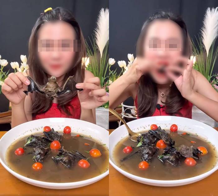 ครูกินค้างคาว ไลฟ์ขอโทษ