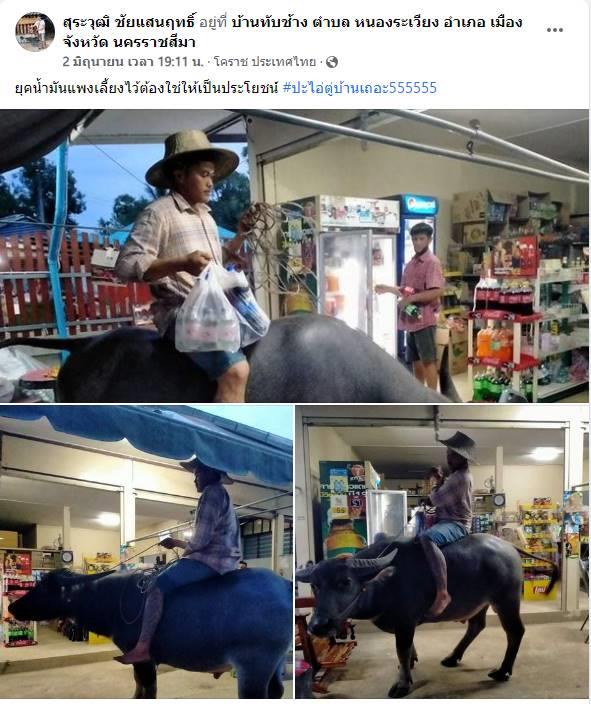 ขี่ควายซื้อของ