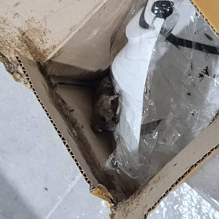 สั่งของออนไลน์ ได้หนูตายแถม