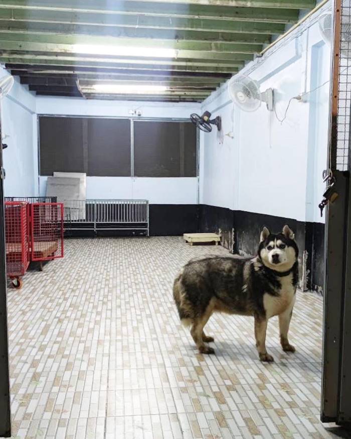 ซันนี่ยูโฟร์เสียชีวิต