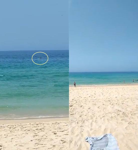 คู่รักแซ่บบนกระดานโต้คลื่น