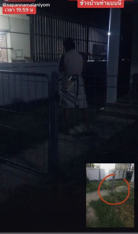 ป้าข้างบ้านพาหมามาขี้ในบ้าน