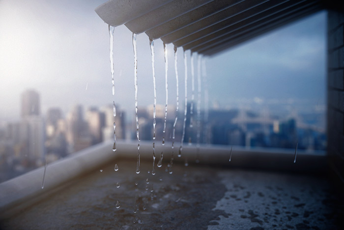 โนรูเข้าไทย