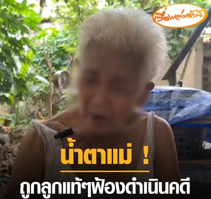 ลูกฟ้องแม่ 